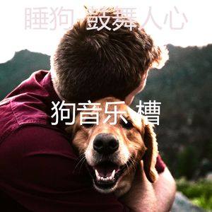 睡觉的小狗-可爱的