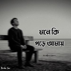 মনে কি পড়ে আমায় | Mone Ki Pore Amay