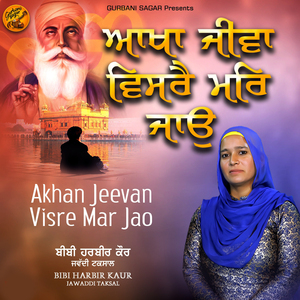 Akhan Jeevan Visre Mar Jao