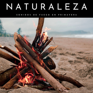 Música Para Emocionarse