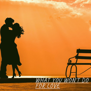 What You Won't Do For Love