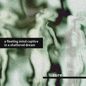 a fleeting mind captive in a shattered dream