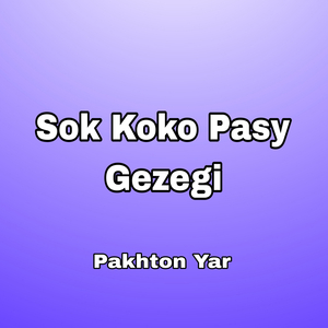 Sok Koko Pasy Gezegi