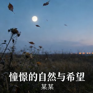 某某 - 记忆的希望与梦想.mp3