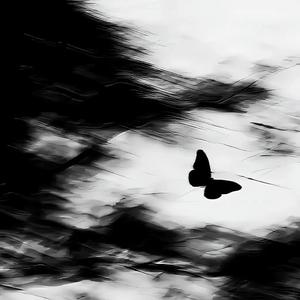 风经过，唱离合