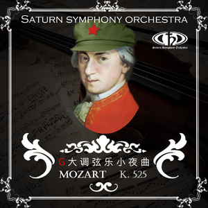 Eine Kleine Nachtmusik:I. Allegro