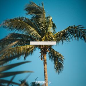 适合正在学习朦胧的音乐