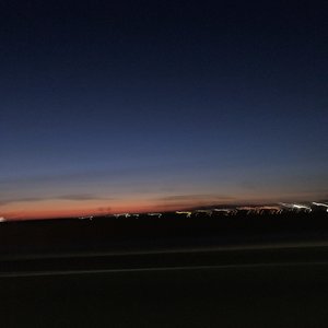 Barley