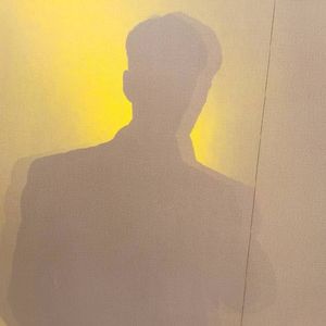 金玉良缘 Cover 李琦