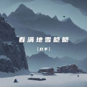 看满地雪皑皑