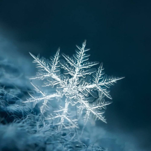 我想起了你天空在下雪