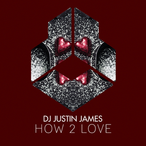 How 2 Love (Original Mix)