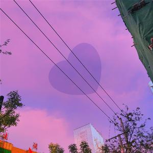 Joey Pecoraro-生命中的狗腿