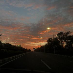 牡丹花（Prod.By 97 Virus）