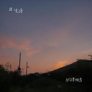 为何要相逢