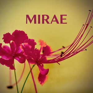 Mirae