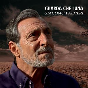 Guarda che luna