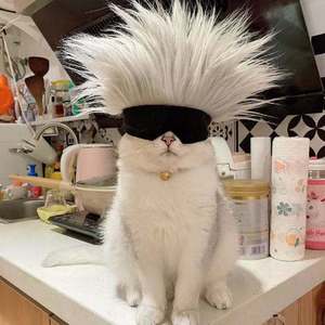 你是人间四月天