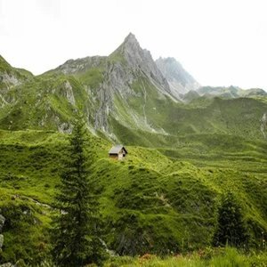 Regretful Celebration