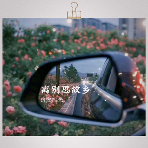 王睿卓-离别思故乡.wav（浅安时光 remix）