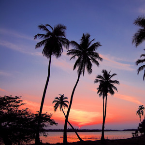 SOLUSI (Remastered 2024)