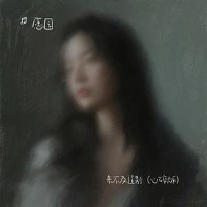 来不及道别