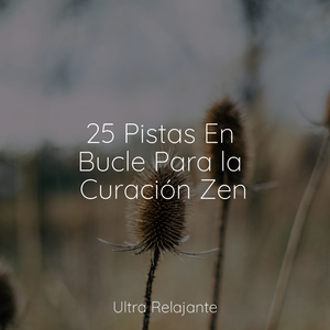 Escribiendo Al Atardecer