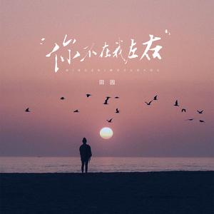 你不在我左右（心却被你左右）