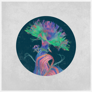 Quiet Moon, Wild Sea