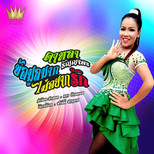 ข้อมูลมากไม่อยากรัก