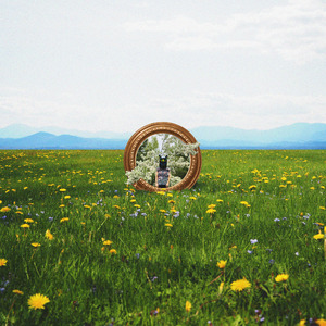 Connection (OLAN Remix)