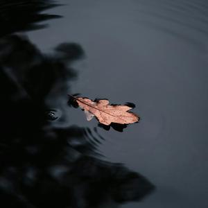 Float