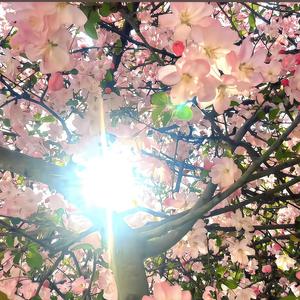 世间万般美好别离开我