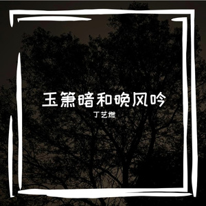 半个世界里的你