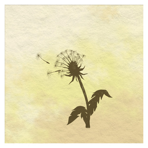 사랑은 민들레 같아 (Feat. 예지)