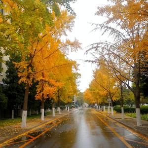 只不过是(尤克里里版）