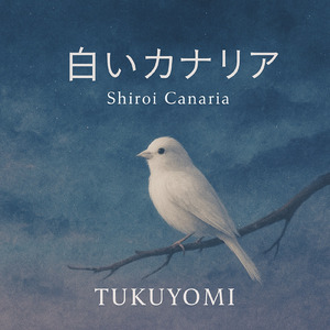 白いカナリア