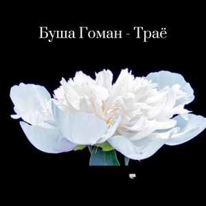 Осталась (траё gipsy cover)