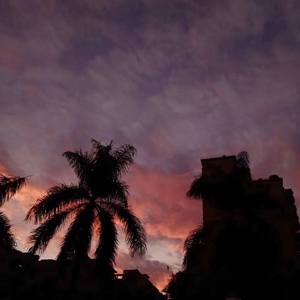 最 近 很 想 你