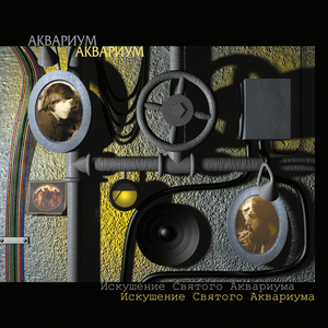 Arija shuzni, vljubljonnoy v dzhinsnju