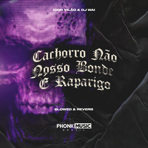 Cachorro Não, Nosso Bonde É Raparigo (Slowed & Reverb)