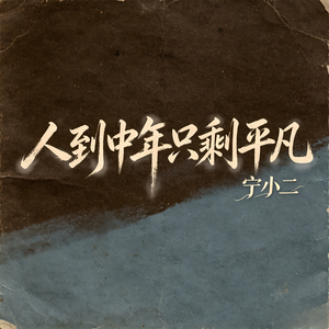 人到中年只剩平凡