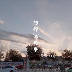 想你这件事（抖音片段版）（翻自 酷酷的Ycy）