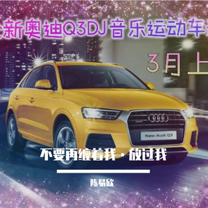 不要再缠着我 - （慢摇舞曲陈易欣舒适版）