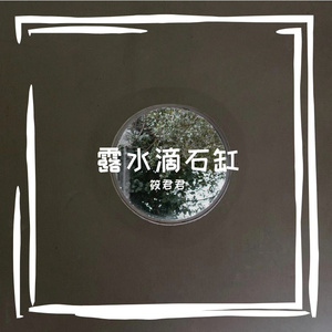 陶突