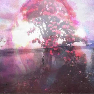 我，为你而来(Inst.)