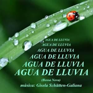 Agua de Lluvia