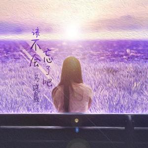 该不会忘了吧(副歌版)1