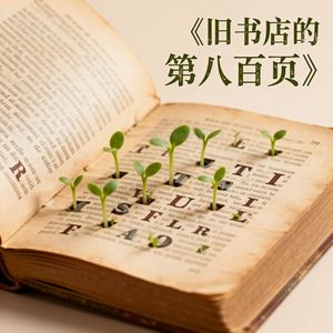 《旧书店的第八百页》