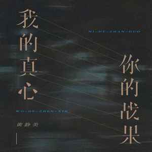 我的真心你的战果 (DJ默涵版)